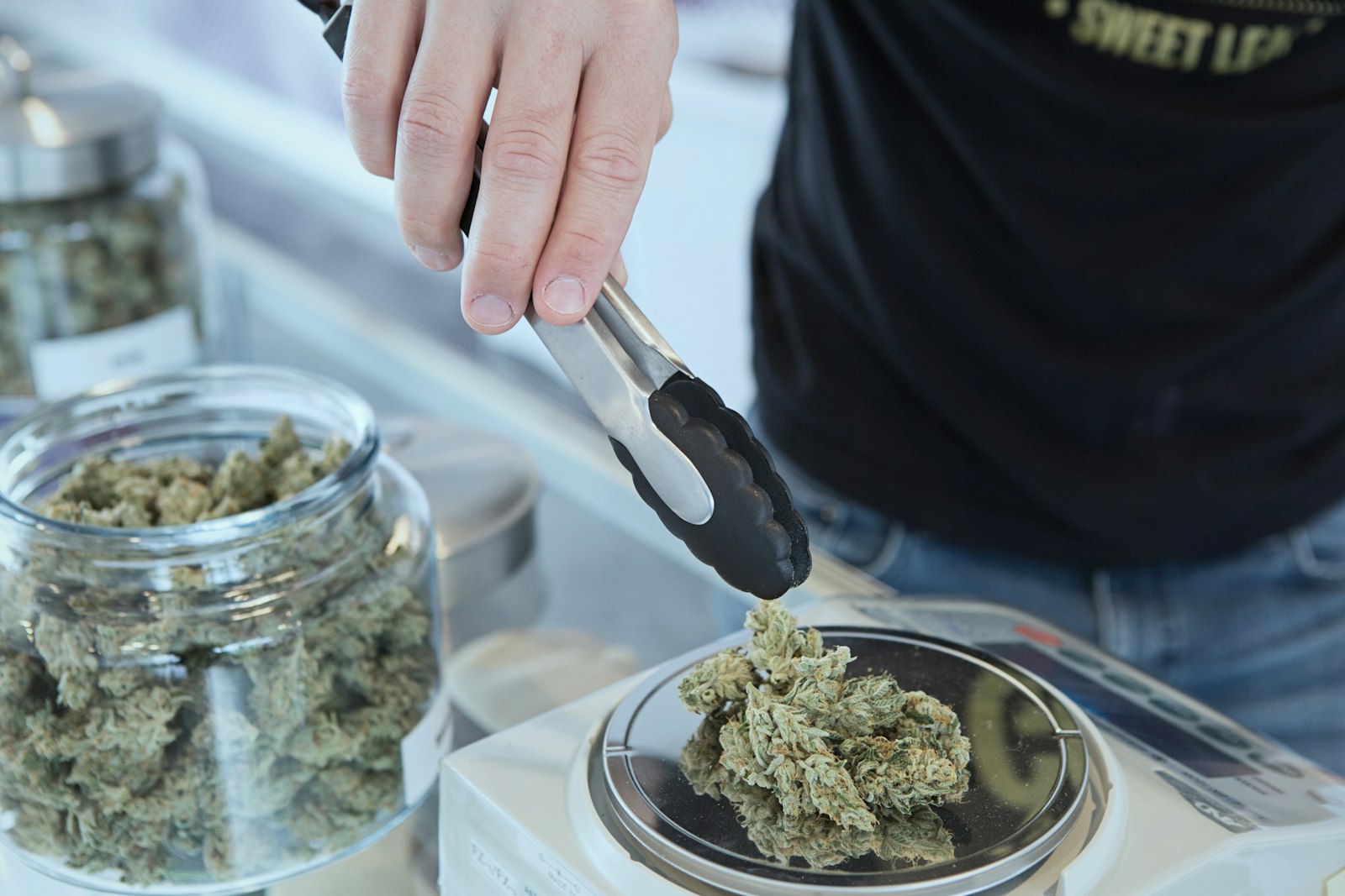 Cannabis flower being weighed on a scale beside glass jars of product