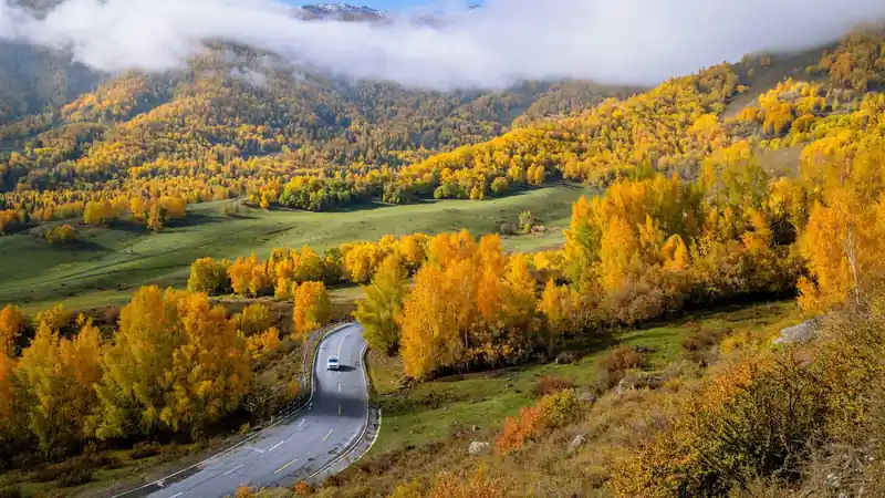 Cannabis Delivery Service in the Berkshires, Massachusetts
