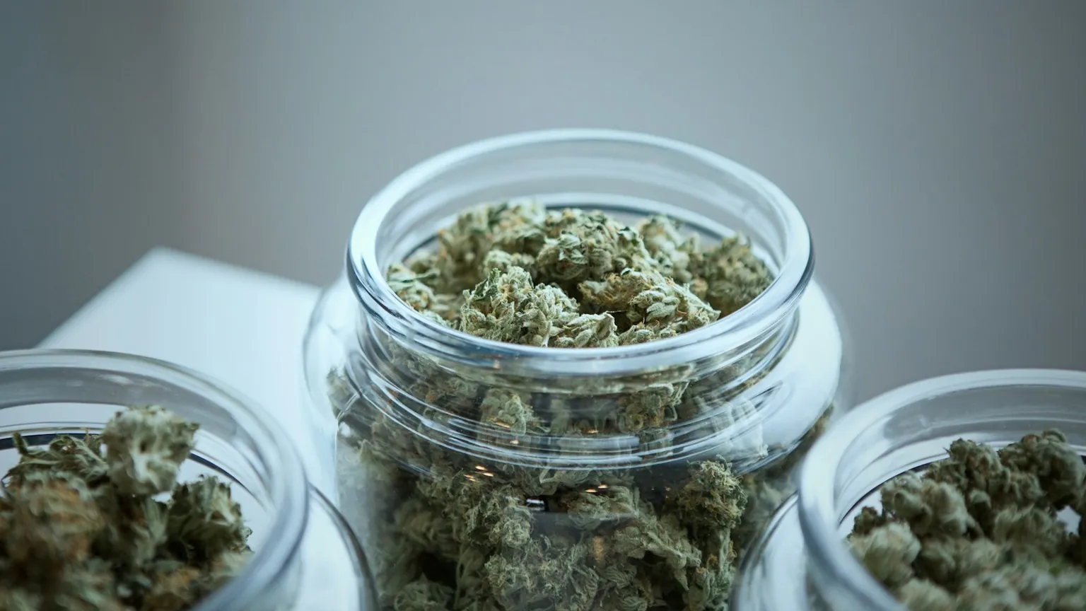 Several open glass jars filled with cannabis flower on a clean surface