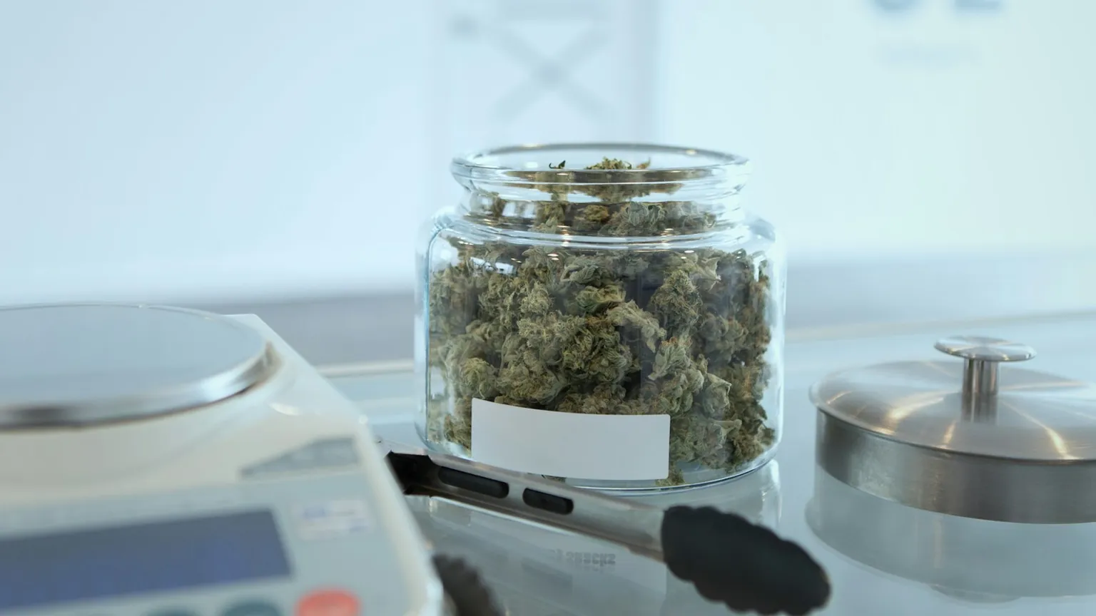 A labeled glass jar of cannabis flower on a precision scale in a lab setting