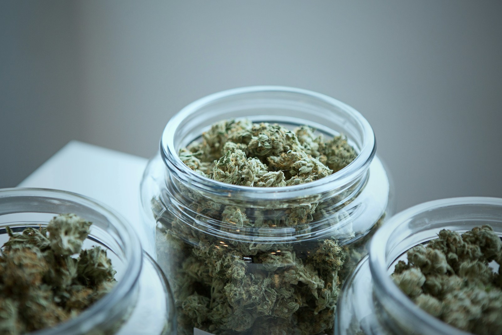 Several open glass jars filled with cannabis flower on a clean surface