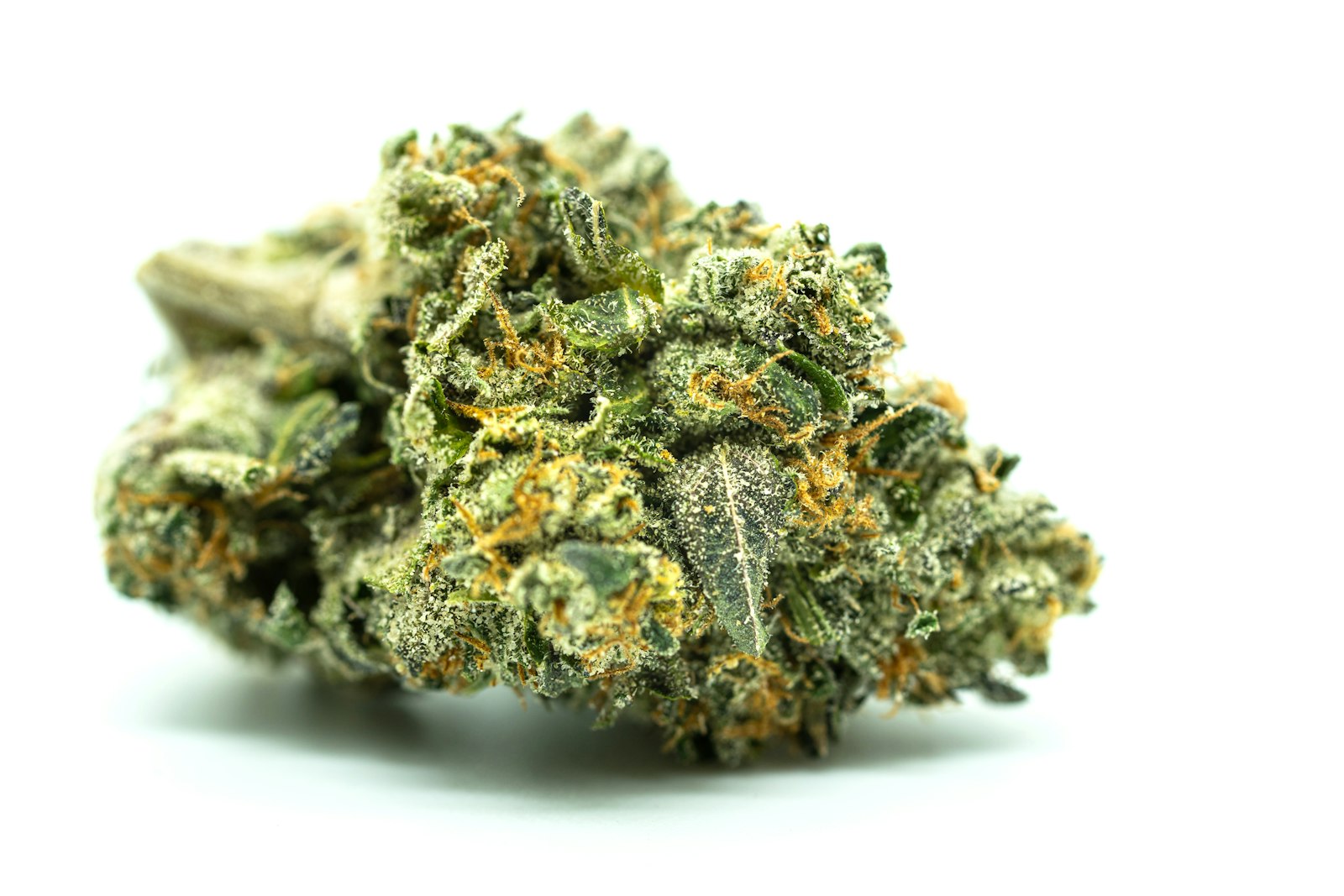 A close-up of a cannabis flower bud on a white background